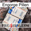 Engorge Pills kamagra1